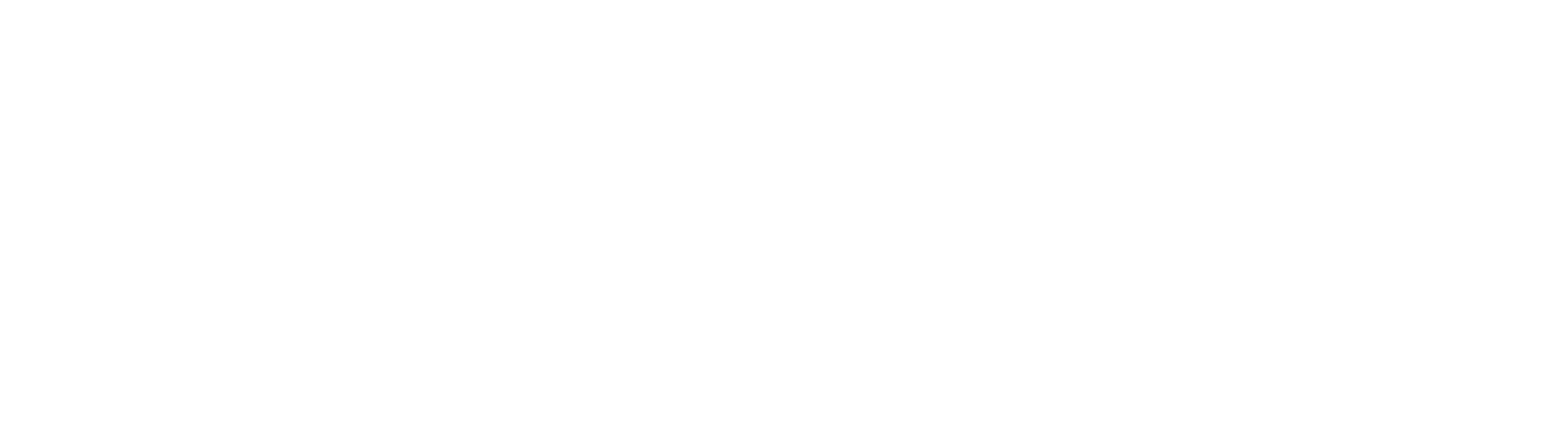 Wavect Logo