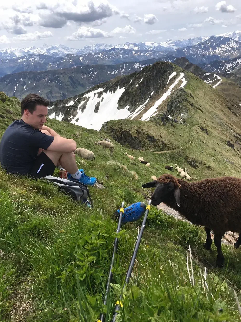 Christof Jori sitzt auf einem Berggrat neben grasenden Schafen Christof Jori sitzt auf einem Berggrat neben grasenden Schafen